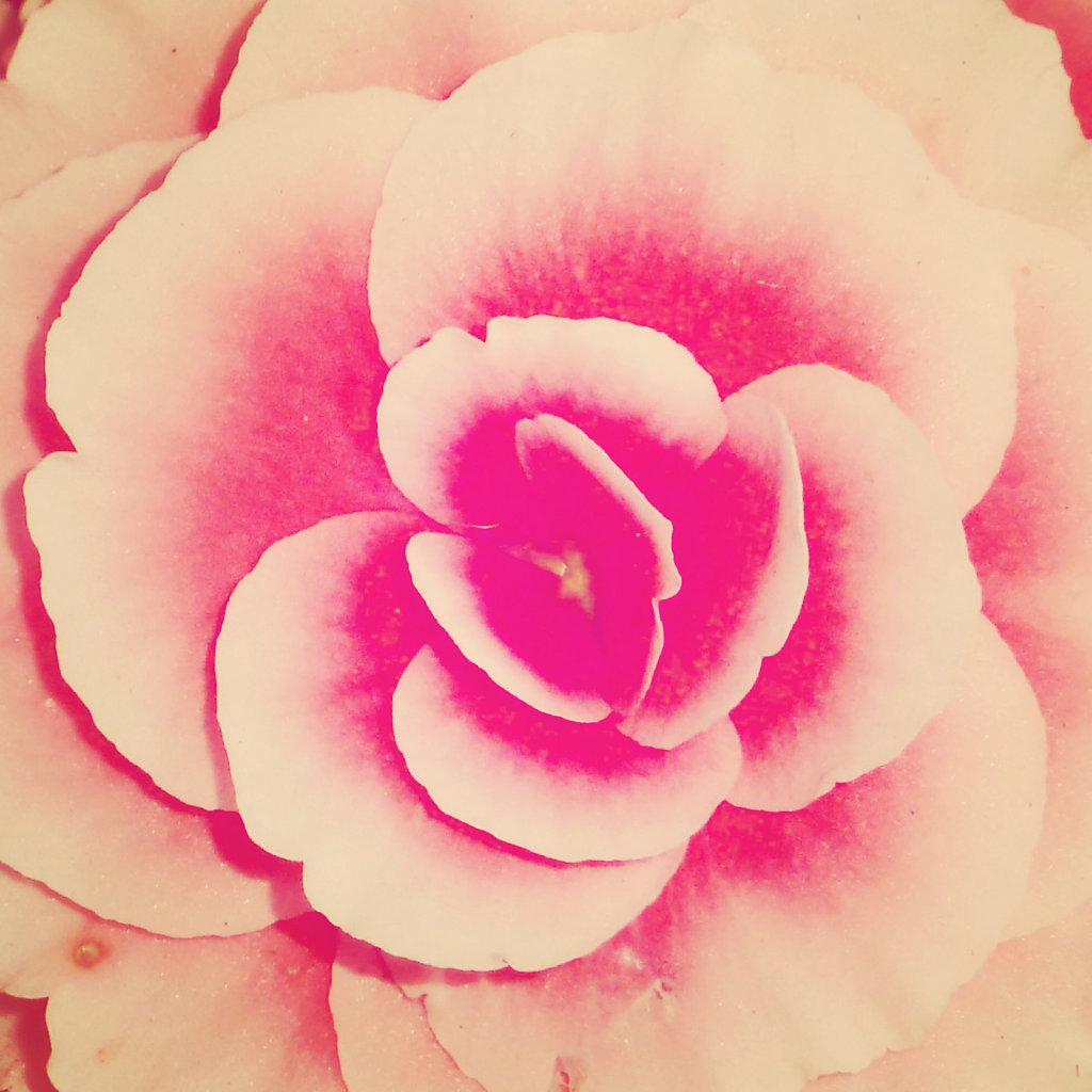 flor